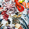 Pesce