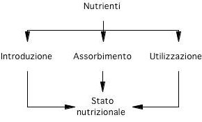 stato nutrizionale