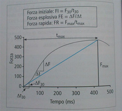 diagramma: la forza