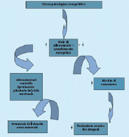 relazioni meccanismi