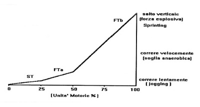 unita motorie